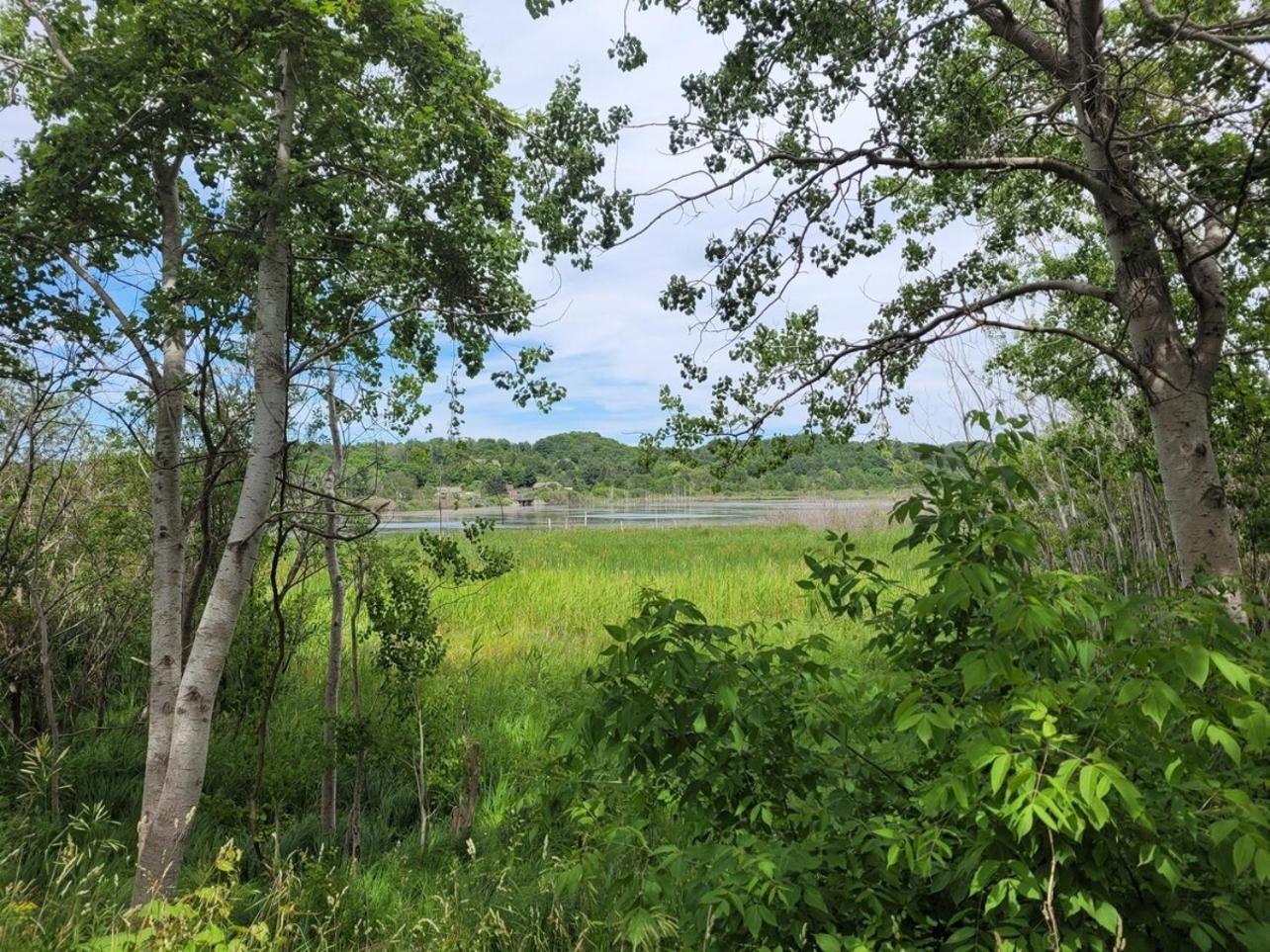 White Birch - Riverfront And Newly-Remodeled! Elberta ภายนอก รูปภาพ